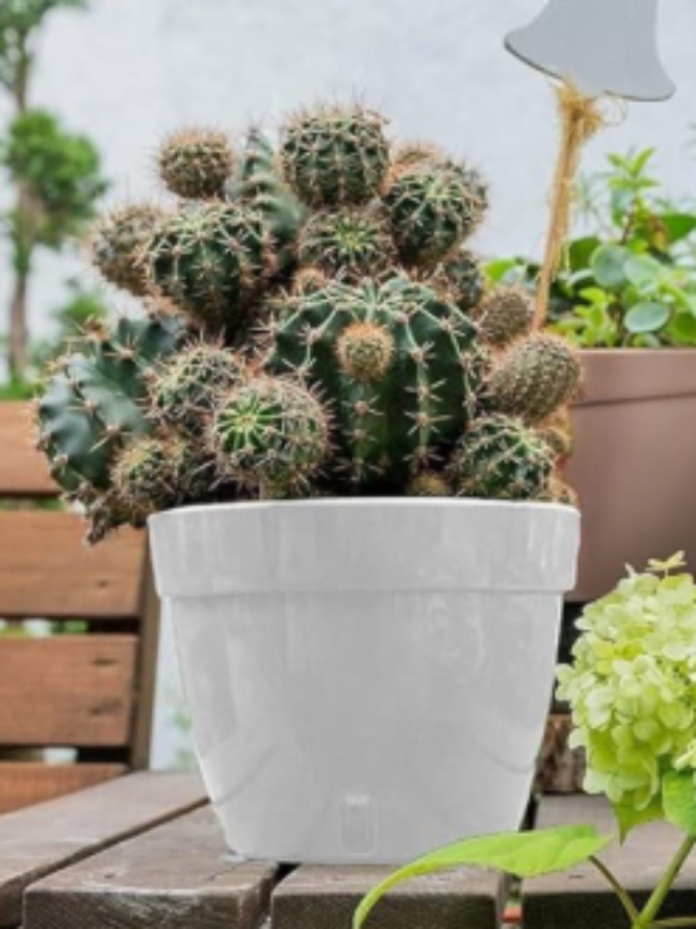 Set of 3 Gray Self-Watering Large 9" x 7" Planter Pots (Vacation Up to 2 Weeks)
